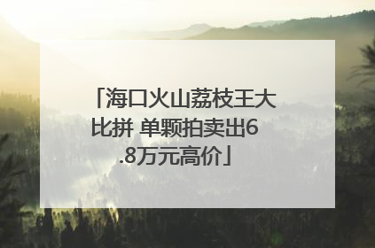 海口火山荔枝王大比拼 单颗拍卖出6.8万元高价
